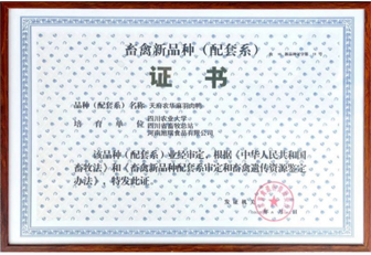 2024年澳门原料免费大全
