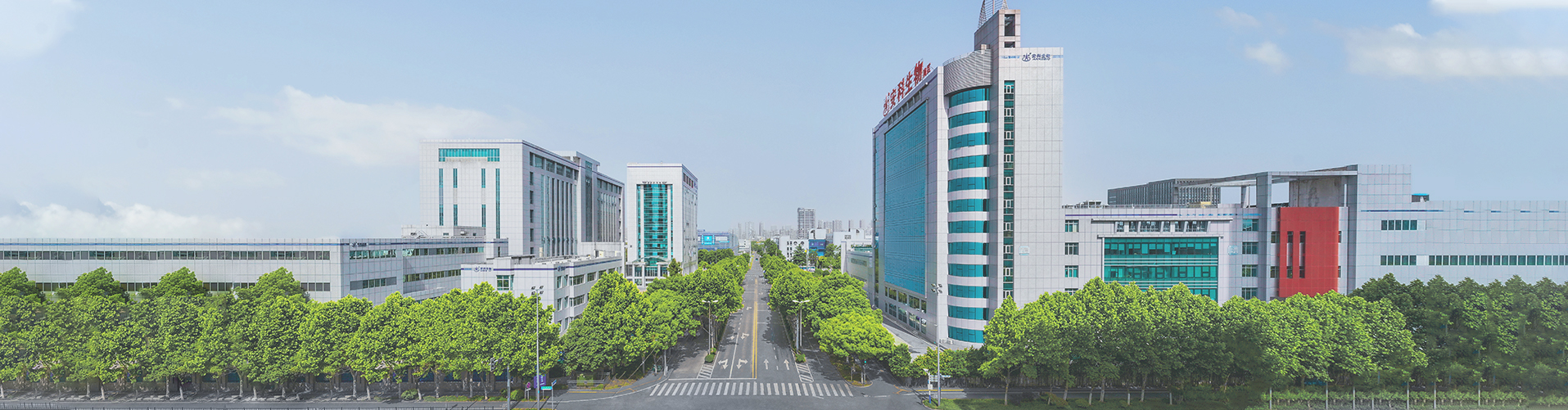 2024年澳门原料免费大全