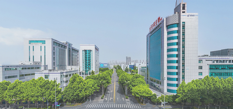 2024年澳门原料免费大全