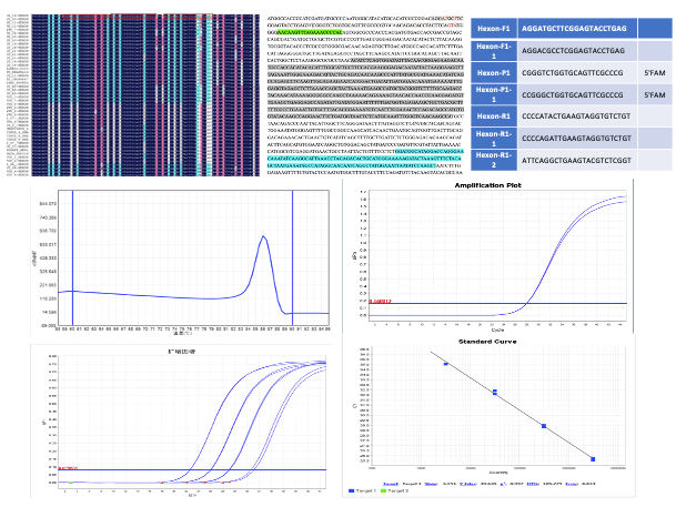 2024年澳门原料免费大全